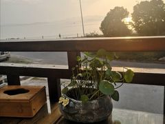 -美味之家·湖景农家乐(太湖东山店)