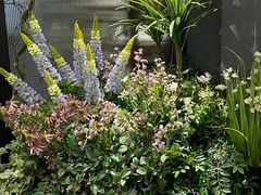 -第101座花园餐厅(湖滨88店)