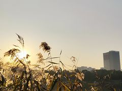 -美兰湖景区