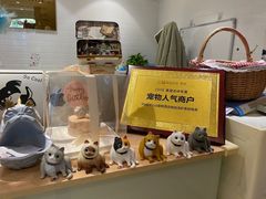 -Pets First伊珊娜洗护·精致美容·家庭式寄养(新会路店)