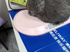 -瑞鹏宠物医院·骨外科·心肾科·肿瘤科(九亭店)