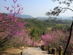 -天台山赤城山景区