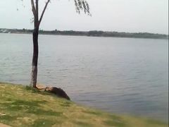 -丁香湖公园