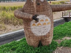-嘉北郊野公园