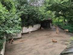 -台州府城(江南长城)