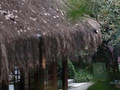 -中国茶叶博物馆(双峰馆区)