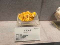 -湖南省地质博物馆