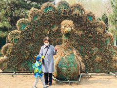 -长白岛森林公园