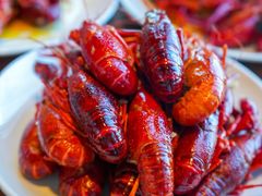 -嘉定凯悦·咖啡厅