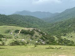 -大姆山草场