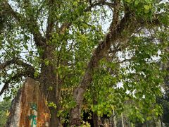 -西双版纳傣族园-曼春满佛寺