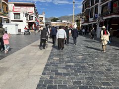 -古树酸奶(八廓南街店)