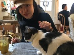 -海边的猫和咖啡馆