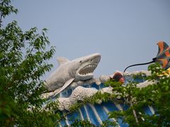 -石家庄极地海洋世界