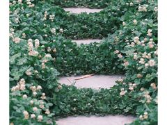 -廊坊文化艺术中心