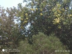 -白塘生态植物园