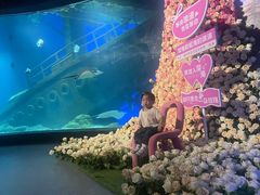 -福州罗源湾海洋世界旅游区