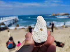 -三亚蜈支洲岛旅游区