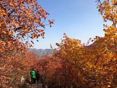 -周口店坡峰岭风景区