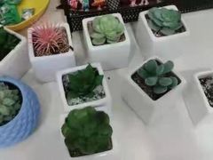 -蜜蜂读书·24h自习室(角门西店)