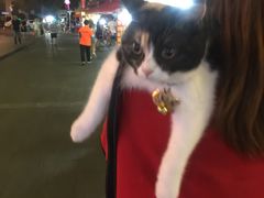 -巴厘龙虾·榜首油焖大虾(洞庭·艺术洋房店)