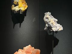 -山东博物馆