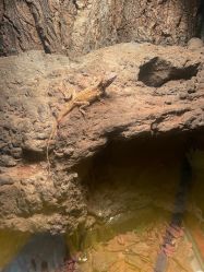 -酷嗒动物文化乐园(cutezoo西溪乐天城店)