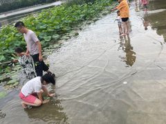 -南翔镇银翔湖公园