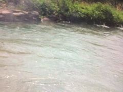 -仙山谷激浪漂流