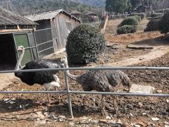 -无锡动物园·太湖欢乐园