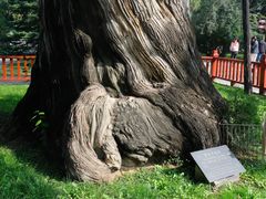 -黄帝陵