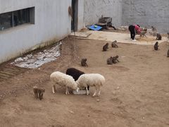-太原动物园