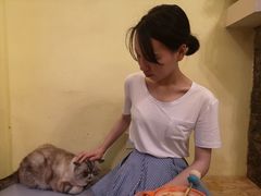 -猫色咖啡·猫咖