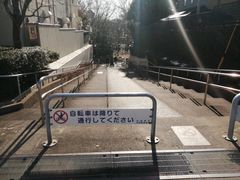 -井之头恩赐公园