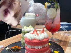 -瞄一喵猫咖(格力海岸店)