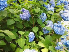 -隐居西湖隐天竺
