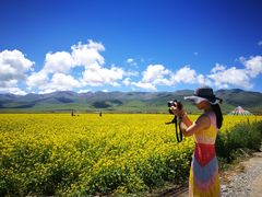 -青海湖国家重点风景名胜区