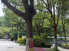 -新洲生态园