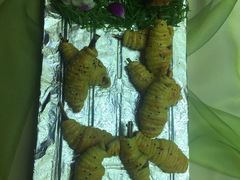 -吴忠民族饭庄(利通南街店)