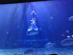 -华夏文旅海洋公园