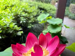 -杭州植物园