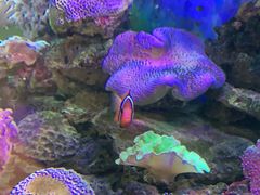 -碧中海汤泉汗蒸酒店