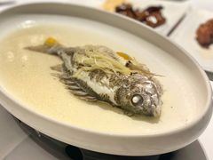 姜丝蒸黄脚立鱼-花城苑广府菜(侨鑫店)