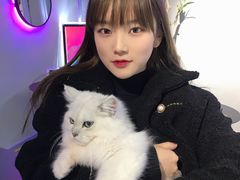 -极木²邸 人与宠物·互动社区