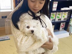 -瑞派宠物医院·24小时骨科·心脏·核磁(哈尔滨南岗店)