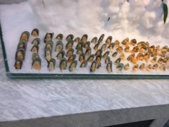 -川骄海鲜自助(河东店)