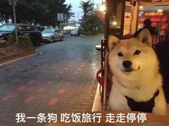 -金姐烤冷面(大沙泥街店)