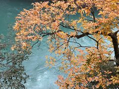 -都江堰景区