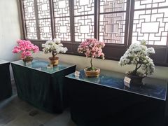 -上海醉白池公园