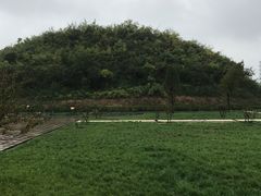 -洛阳古墓博物馆